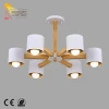Simple Bedroom Lamp Creative Fashion Decoration Real Wood Ceiling Light