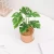 Import Simple style decoration potted artificial plant from China