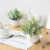 Import Simulation plant potted ornaments living room Eucalyptus plastic artificial flower ornaments Nordic green plants small bonsai from China
