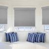 Smart Daylight Fabric Electric Blinds Mechanical Indoor Window Blinds Electric Motorized Roller Blinds