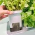 Import Smart Indoor Herb Garden Led Grow Light Kit Hydroponic Grow System Self Watering Plant Pot  modern desktop plastic Garten Maceta from China
