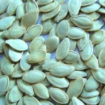 Snow White Pumpkin seed