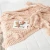 Import Soft Comfy Knit Chunky Cable Blanket with Tassels from China