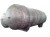 Import Stainless Steel High Quality diesel fuel storage tank for sale from China