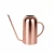 Import Stainless Steel Long-mouthed Plant Watering Cans Household Metal Watering Can from China