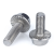 Import Stainless Steel M5 M6 M8 Hex Flange Head Bolt With Teeth from China