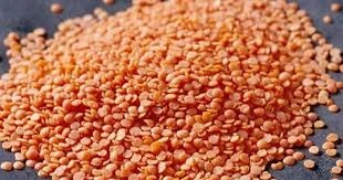 superior quality Turkey factory supplies best selling Red Lentils for wholesale