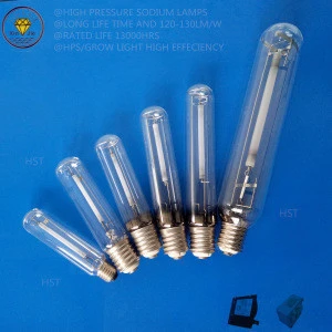 T46 High pressure Sodium Street Road Lighting Lamps 50w 70w 100w 150w 250w 400w 600w 1000w