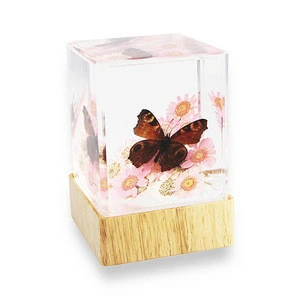 Tabletop Decoration with Real Butterfly Preserved for Gifts for Event Party Supplies