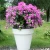 Import Taizhou florist supplies balcony flowerpot wedding favors stoving varnish composite artificial plastic flower pots planter from China