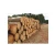 Import Timber  Logs : Timber Raw Materials>>Logs from South Africa