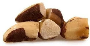 Top Quality BRAZIL NUTS - SHELLED [GF-07]
