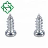 Top Quality China Factory Pan Head Self-Tapping Screws DIN7981