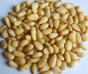 Top Quality Pine Nuts
