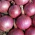 Import top quality red onion fresh from Egypt