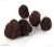 Import truffles mushroom price/fresh black truffle for sale from Brazil