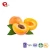 Import TTN New Sale Industrial Dried Apricot From Fresh Apricots For Sale from China