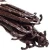 Import Vanilla Beans | Grade B Vanilla For Extraction from USA