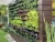 Import Varden Outdoor Vertical Garden Kit from USA