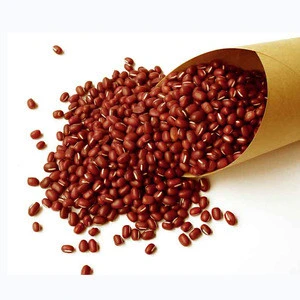 Organic Kidney Beans, Small Kidney Beans, At Best Prices