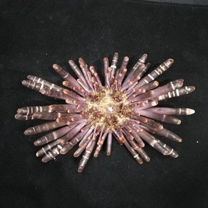 Very rare the sea urchin mineral specimen crystal sea urchin for home decoration