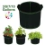 Import Vlovelife 1pcs Vegetable Planting Bags Felt Fabric Grow Bags With Handle For Home Garden Planting Vegetable Grow Bag from China