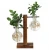 Import Water Pearls Glass Crystal Ball Hydroponic Plant Vase Decoration Modern Home Decor from China