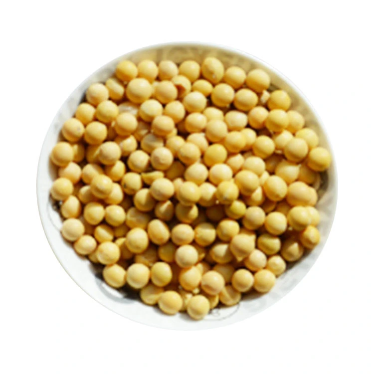We sell high quality organic non-GMO soybeans with high protein content for export
