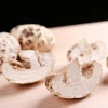 white dried shiitake flower mushroom white dried flower mushroom