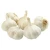 Import white garlic from India