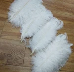 White Ostrich feathers Wholesale 15.7-17.7'' Non-toxic In Stock Certificated