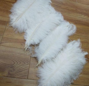 White Ostrich feathers Wholesale 15.7-17.7&#39;&#39; Non-toxic In Stock Certificated