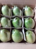 Wholesale 100% Natural Fresh Coconut From Vietnam