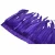 Import Wholesale 25-30cm  purple rooster feather trim fringe for Carnival Garment from China