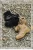 Import Wholesale Factory Price Waterproof Rubber Shoes Hiking Outdoor Combat Tactical Boots from China