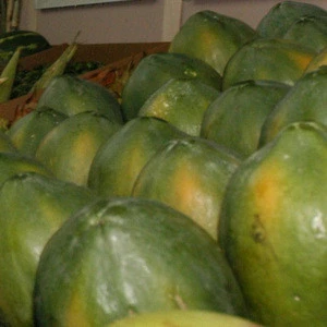 Wholesale fresh papaya price with high quality