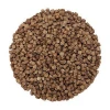 Wholesale from 500 tons Super Price - dried  from Ukraine groats of buckwheat