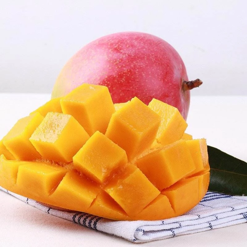 Wholesale high quality frozen fresh fruits mango price