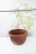 Import wholesale plastic hanging baskets for rose flower from China