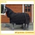 Import Winter warn outdoor horse rug from China