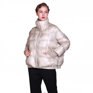Winter women&#x27;s high neck zipper short down jacket casual jacket down jacket