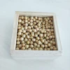 yellow soybean sprouts seed small bean Bean sprouts good taste wholesale food consumption