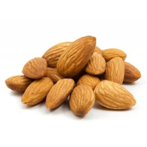 Roasted Almonds (Salted/Unsalted) – Snack-Grade | Bulk Packaging