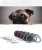 Import Retractable Dog collar from China