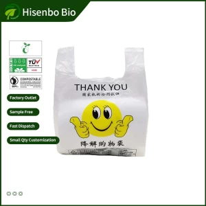 Supermarket Shopping Fruit Store Bags Convenience Wholesale Takeaway Bags Plastic Vest Bag