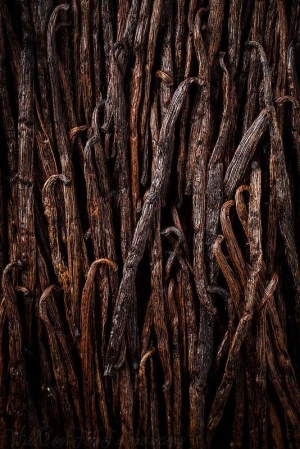Bourbon Vanilla Beans