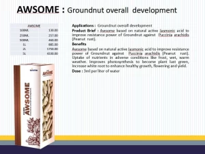 AWSOME : Groundnut overall  development