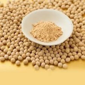 Soybean Meal Animal Feed – High Digestibility & Nutritional Value