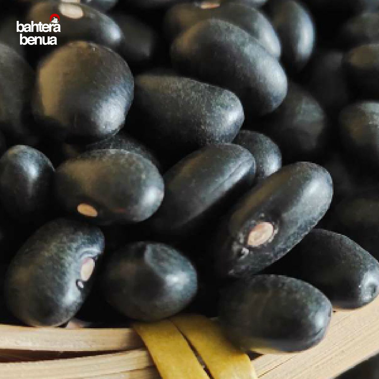Buy High Protein Organic Black Soybeans; Non Gmo from Bahtera Benua Sdn