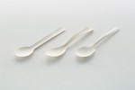 Sugarcane bagasse cutlery